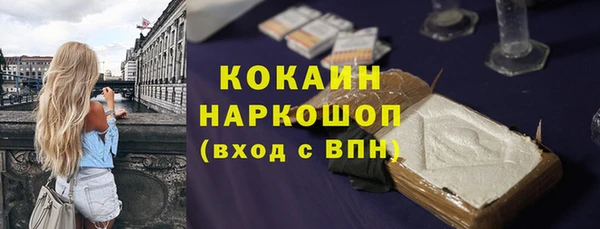 эйфоретик Бородино