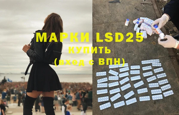 стаф Бугульма