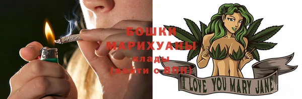 эйфоретик Бородино