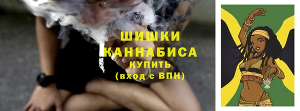 стаф Бугульма