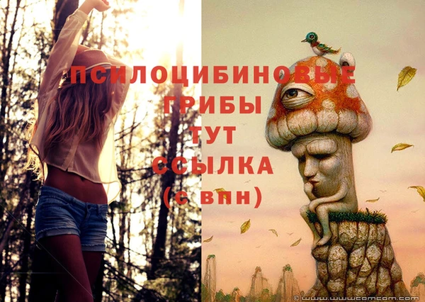 эйфоретик Бородино
