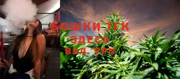 эйфоретик Бородино