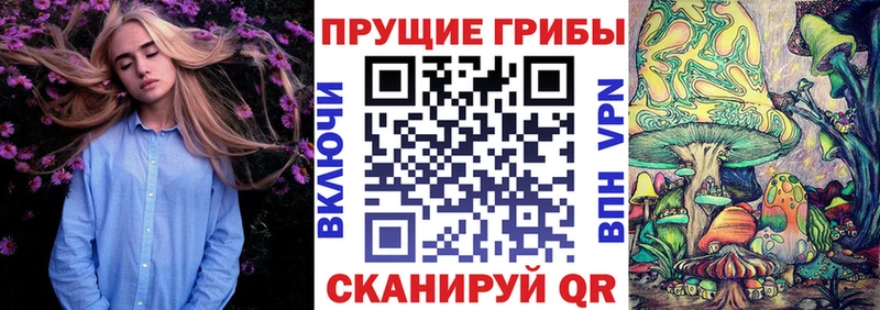 Псилоцибиновые грибы Psilocybine cubensis  Клинцы 